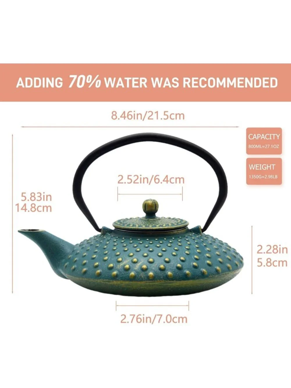 Blue Cast Iron Kitchen Japanese Teapot 27.1oz Stovetop Loose Leaf Infuser Pot